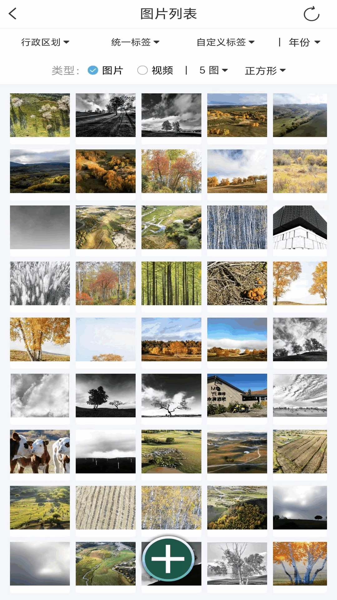 精彩截图-哪拍2026官方新版