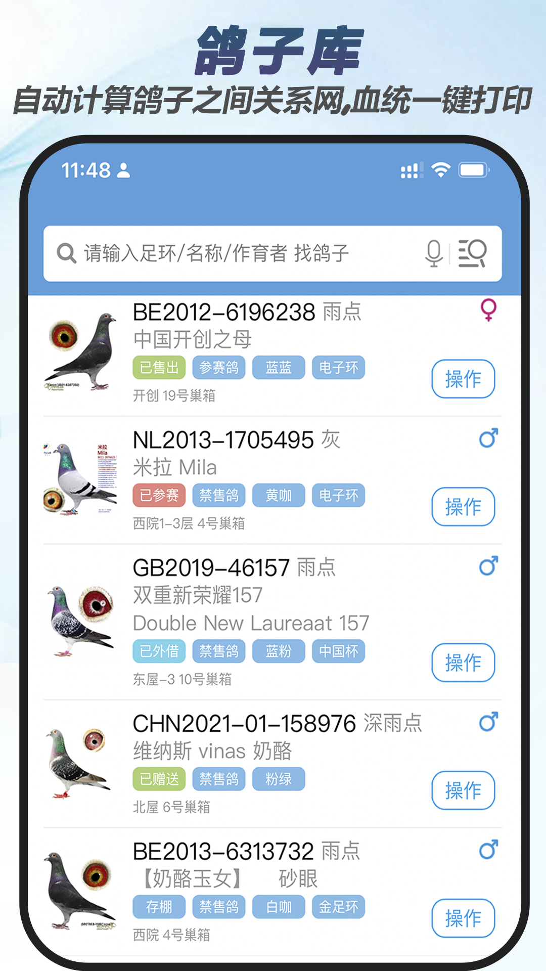 赛鸽云安卓版高清截图