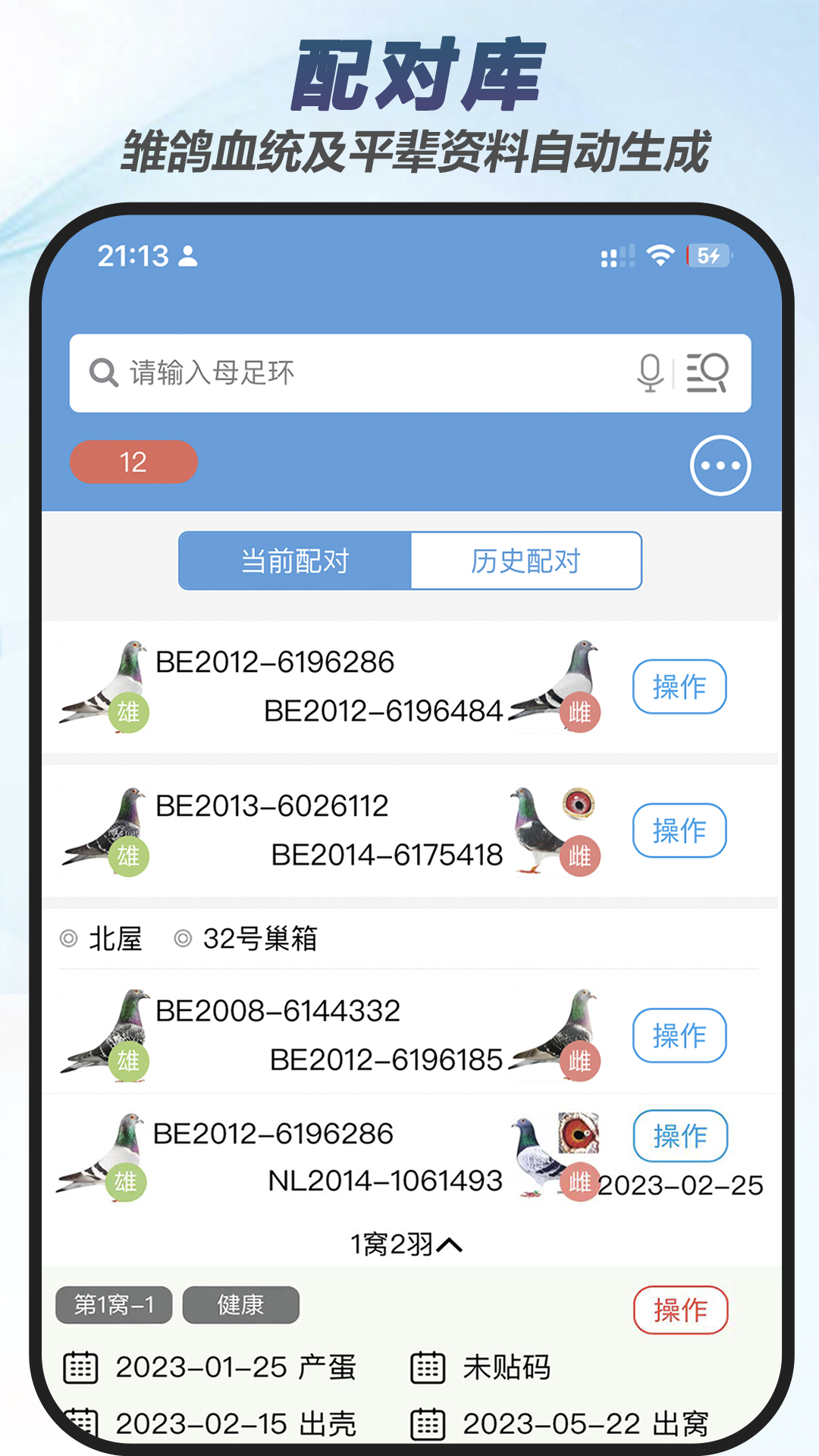赛鸽云安卓版高清截图