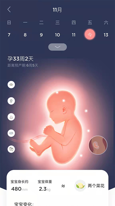 LifeOfmom安卓版高清截图