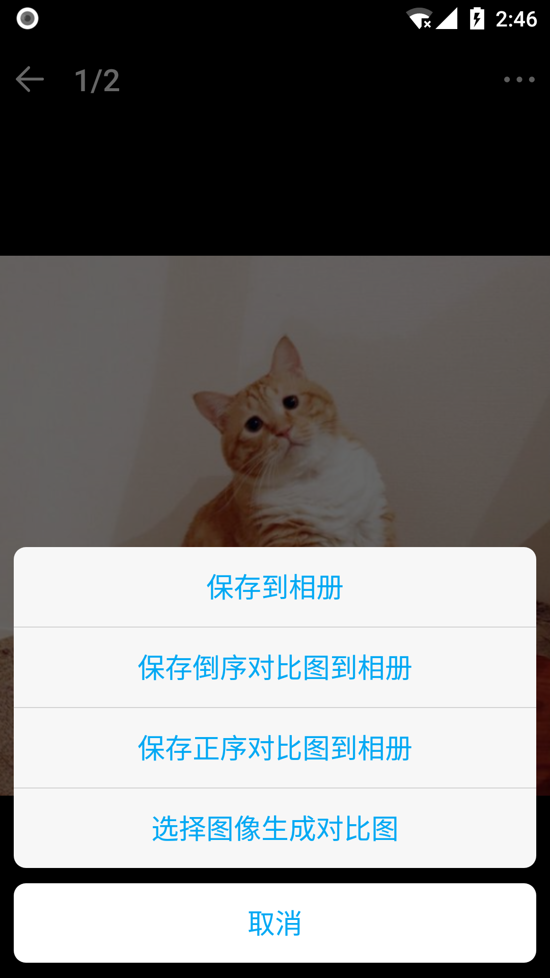 精彩截图-猫咪成长记2025官方新版
