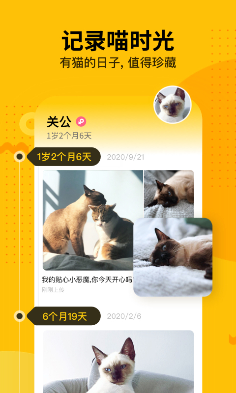 爪叽截图