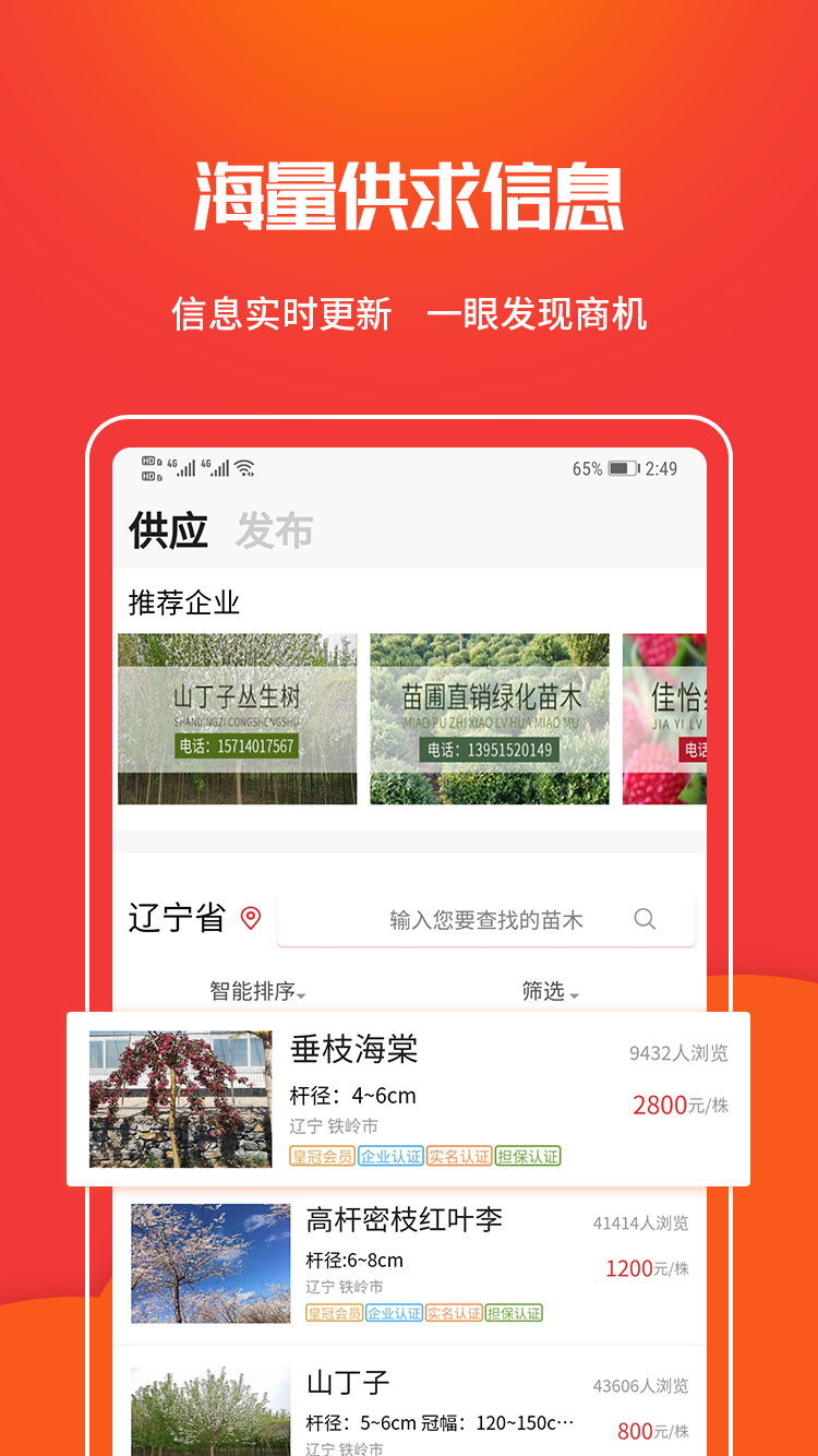 精彩截图-苗木网2025官方新版