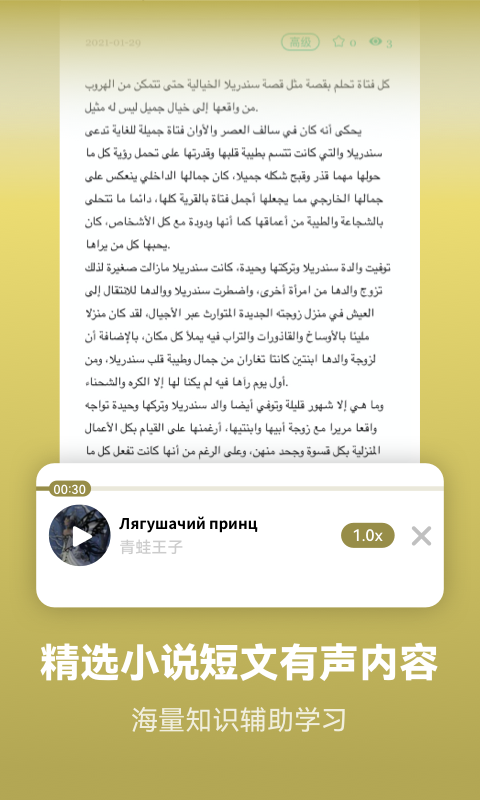精彩截图-莱特阿拉伯语学习背单词2024官方新版