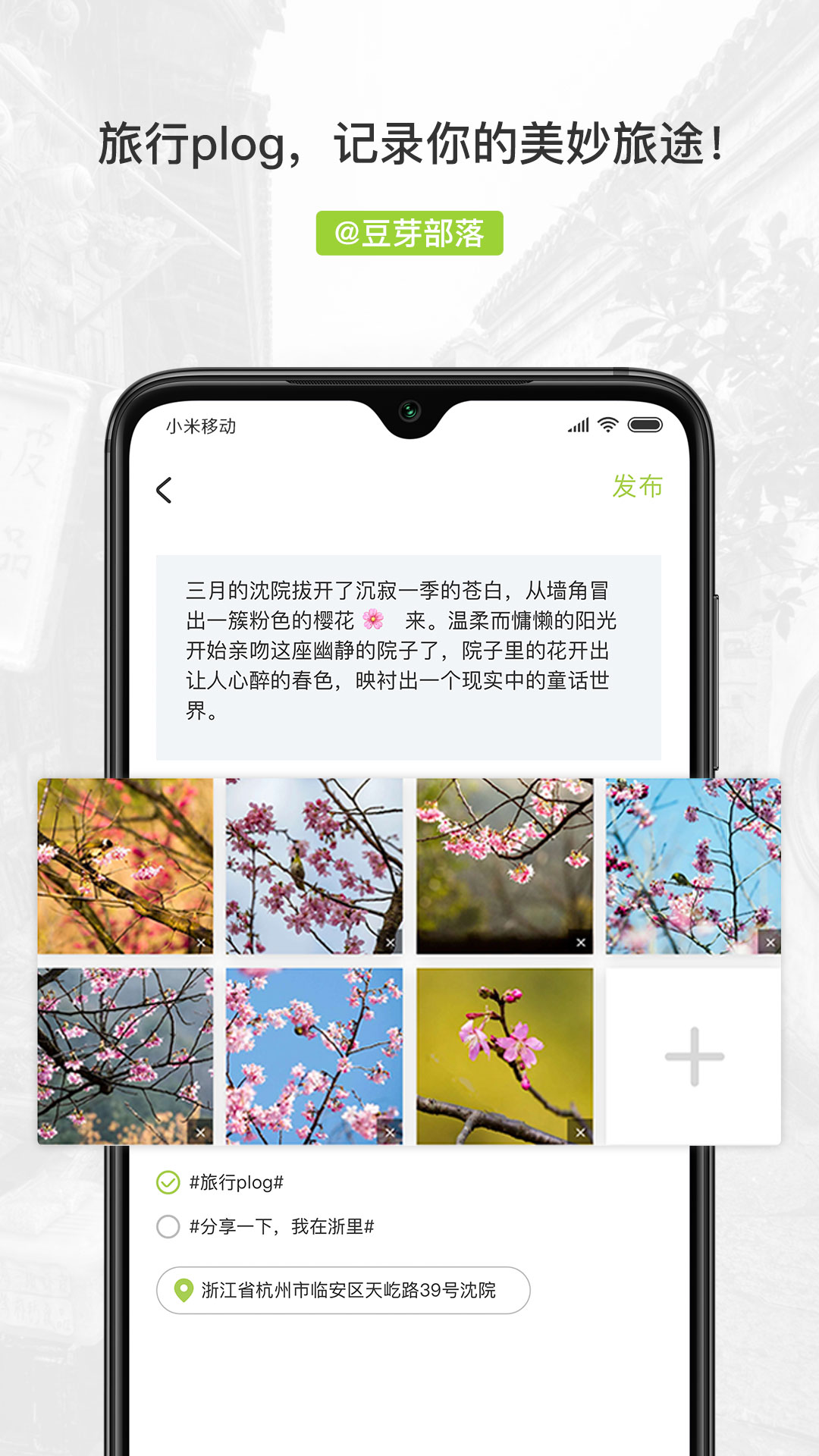 精彩截图-豆芽部落2026官方新版