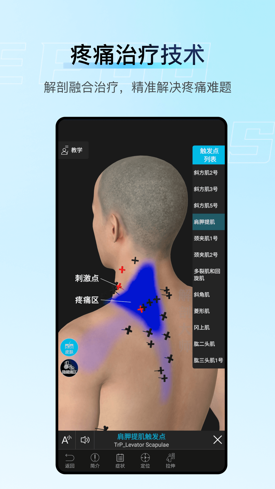 精彩截图-解剖大师2026官方新版