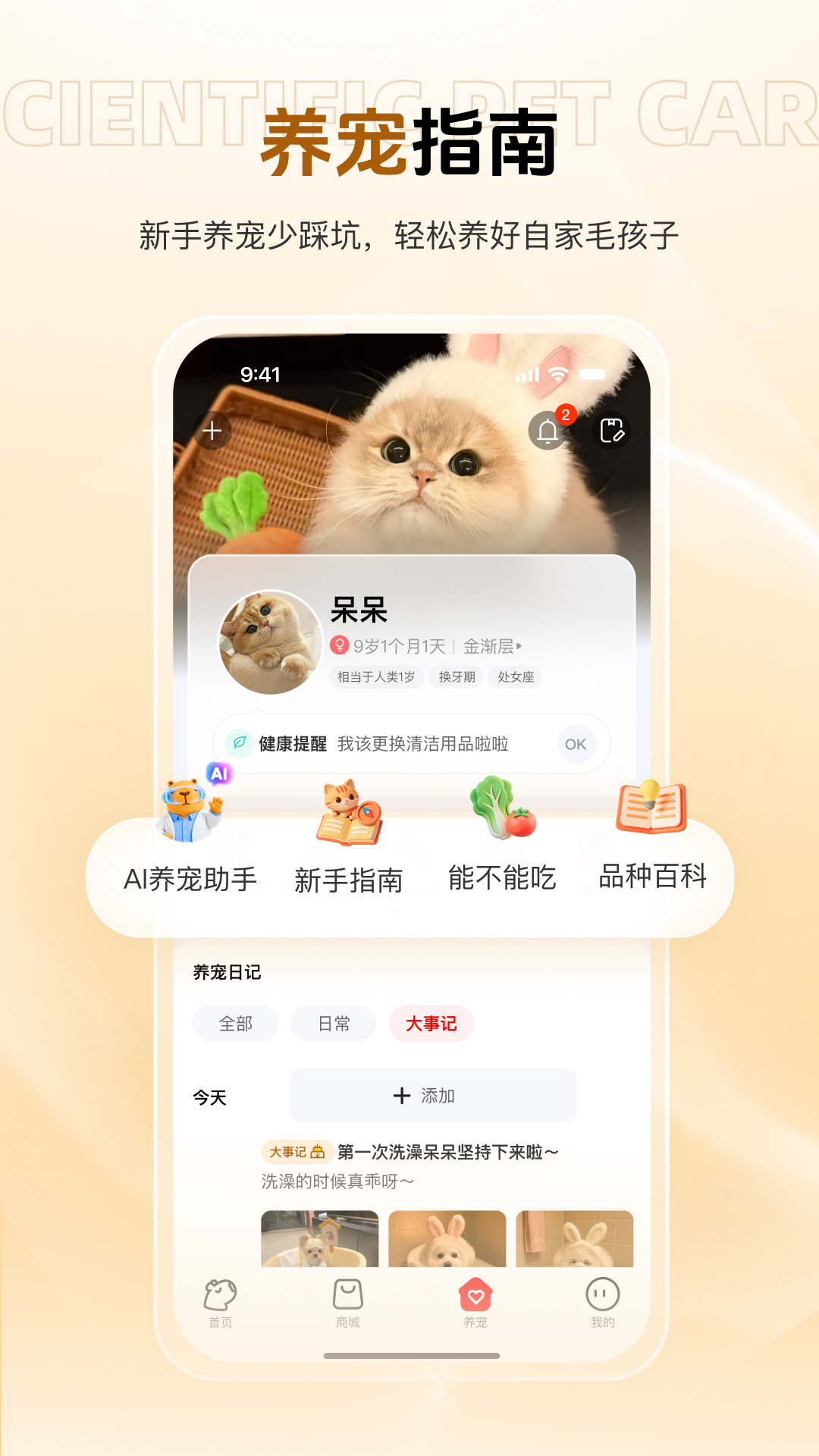 精彩截图-宠胖胖2026官方新版