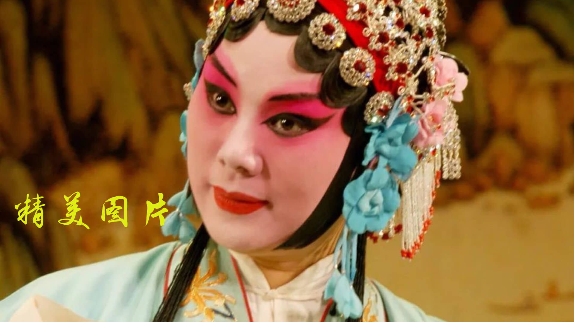 精彩截图-豫剧迷2026官方新版