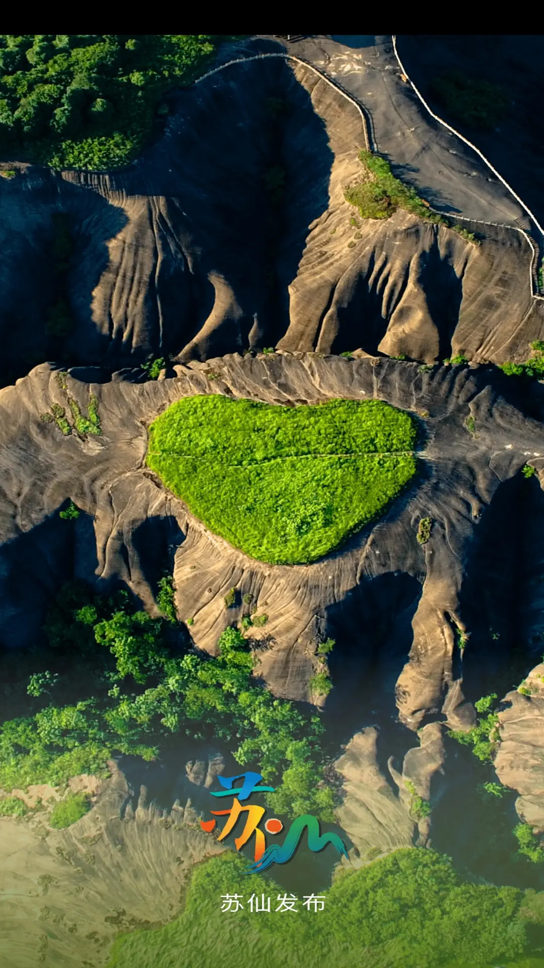 精彩截图-苏仙发布2025官方新版