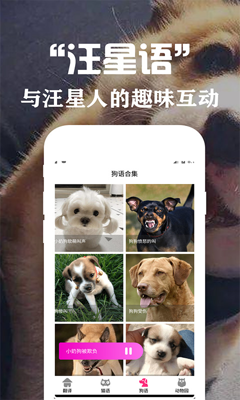 狗语翻译交流器截图