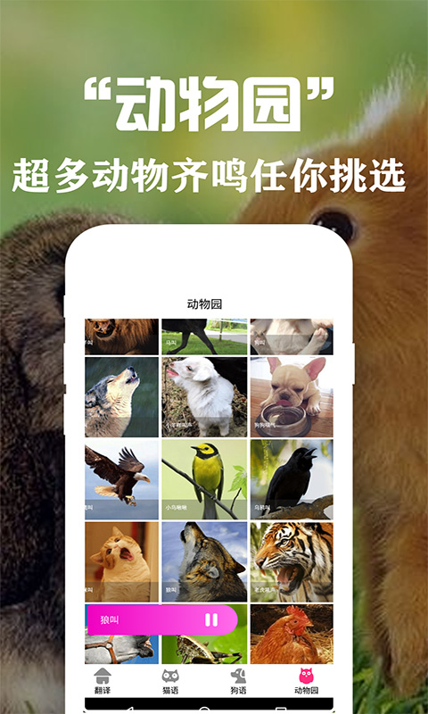 精彩截图-狗语翻译交流器2026官方新版