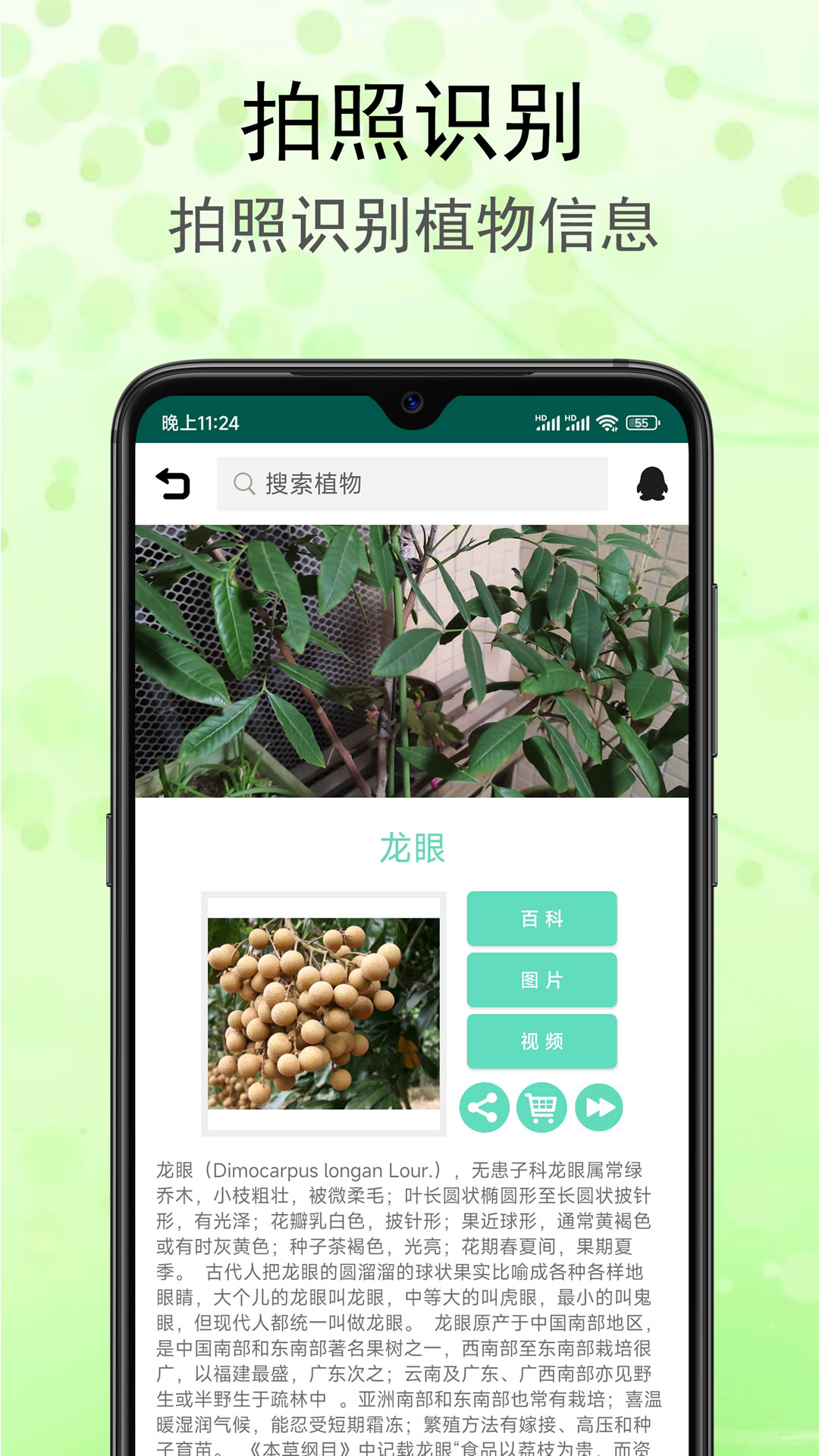 精彩截图-识花草2025官方新版