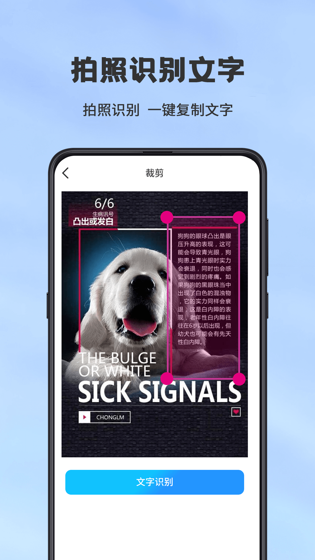 精彩截图-手机扫描仪OCR2026官方新版