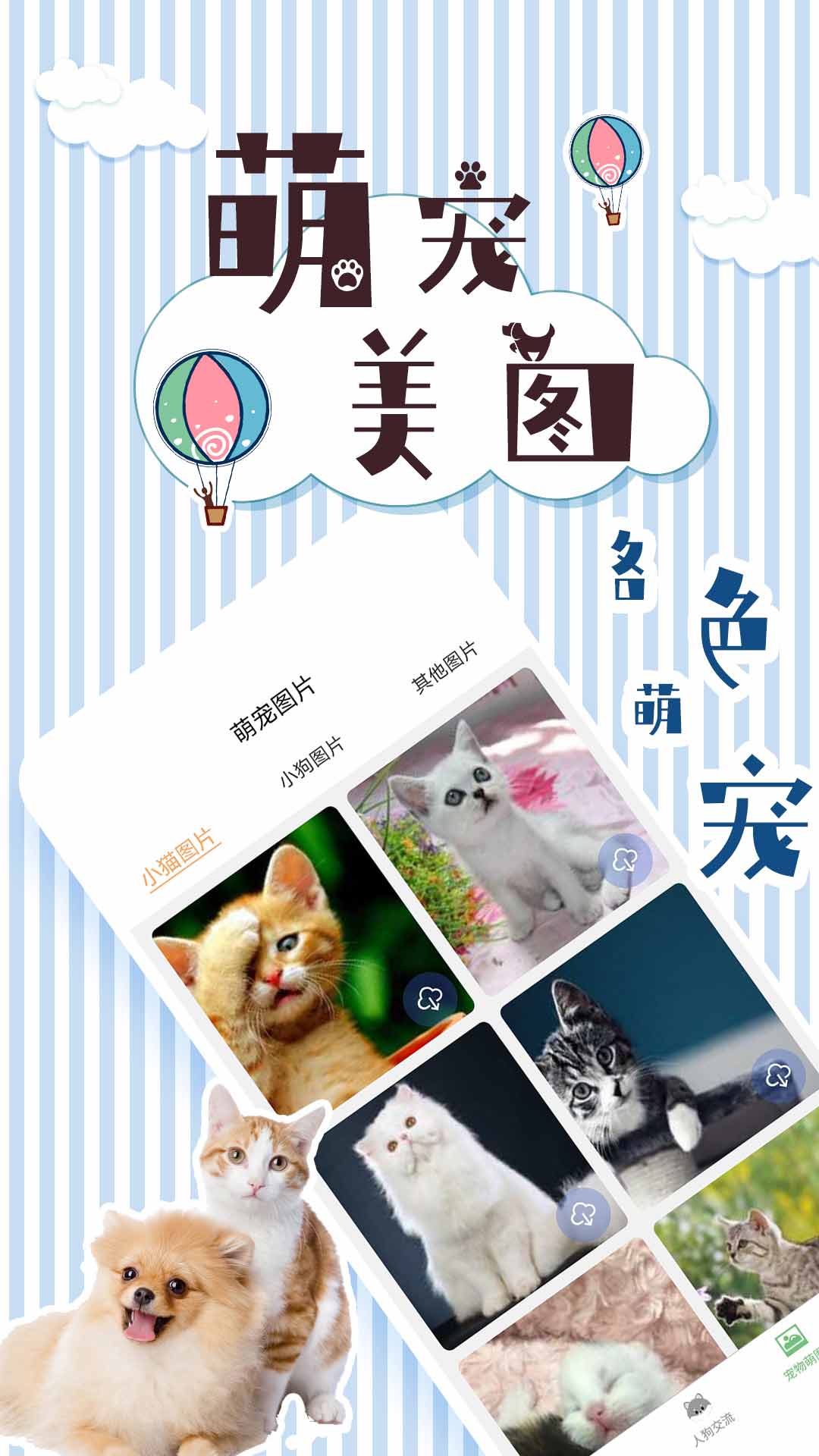 宠物翻译交流器截图