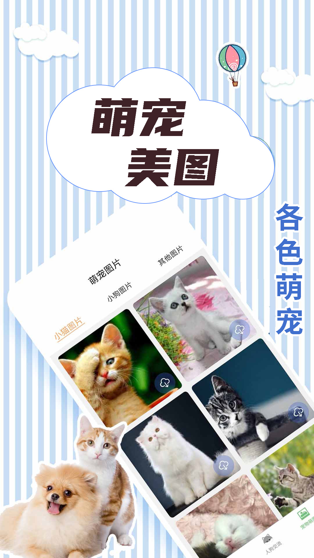 精彩截图-人猫翻译交流器2026官方新版