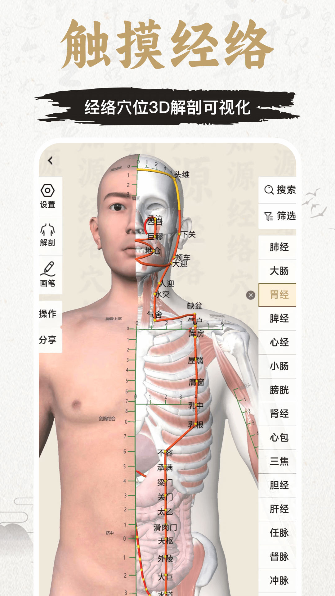 精彩截图-知源经络穴位2026官方新版