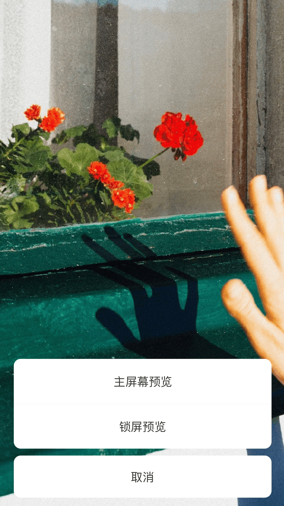 精彩截图-免费主题商店2026官方新版