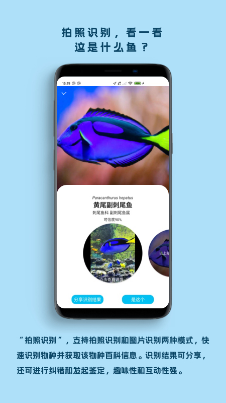 看鱼 截图 2
