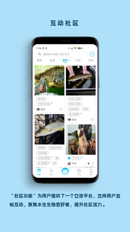 精彩截图-看鱼2025官方新版
