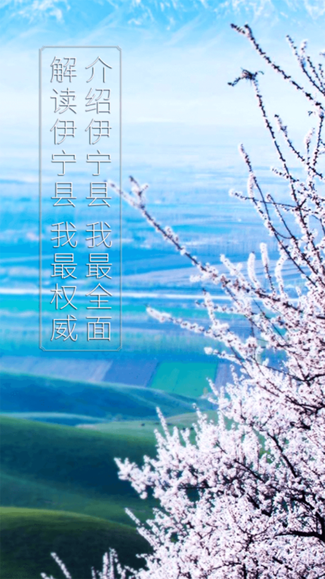 杏乡好地方 截图 1
