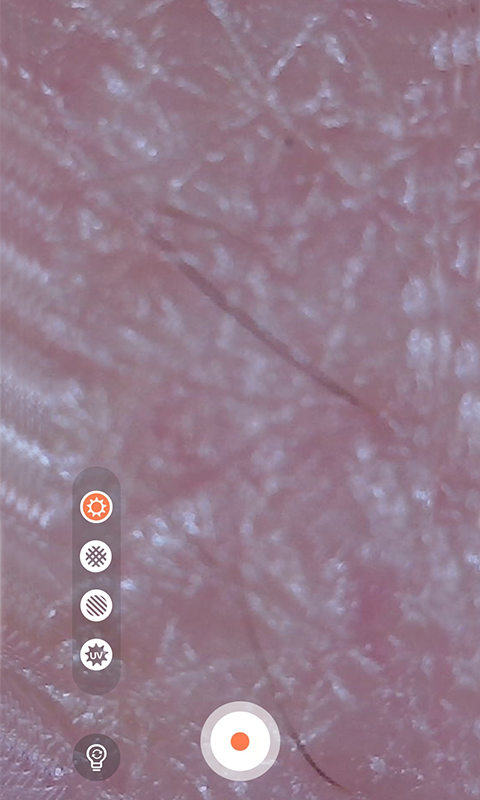 精彩截图-MoreMeSPA2026官方新版