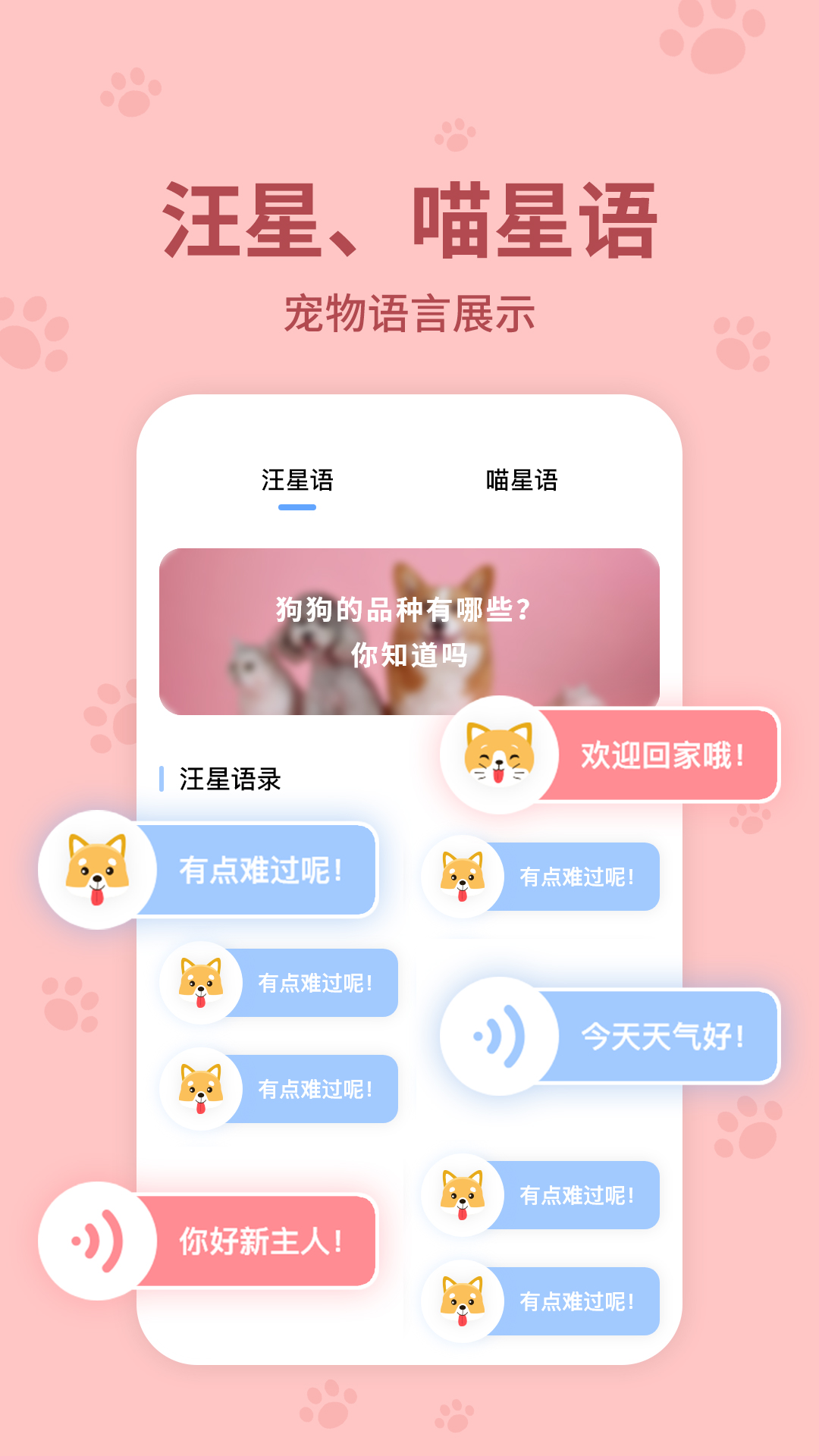 精彩截图-动物翻译器2025官方新版