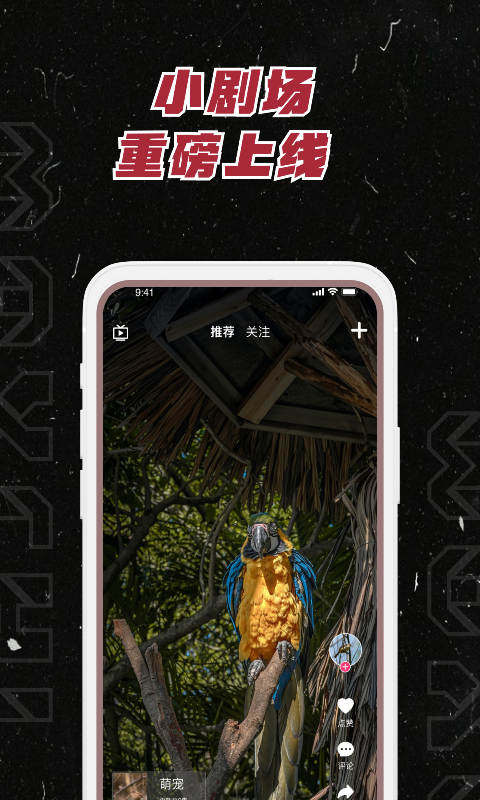 精彩截图-MAXCHI2025官方新版