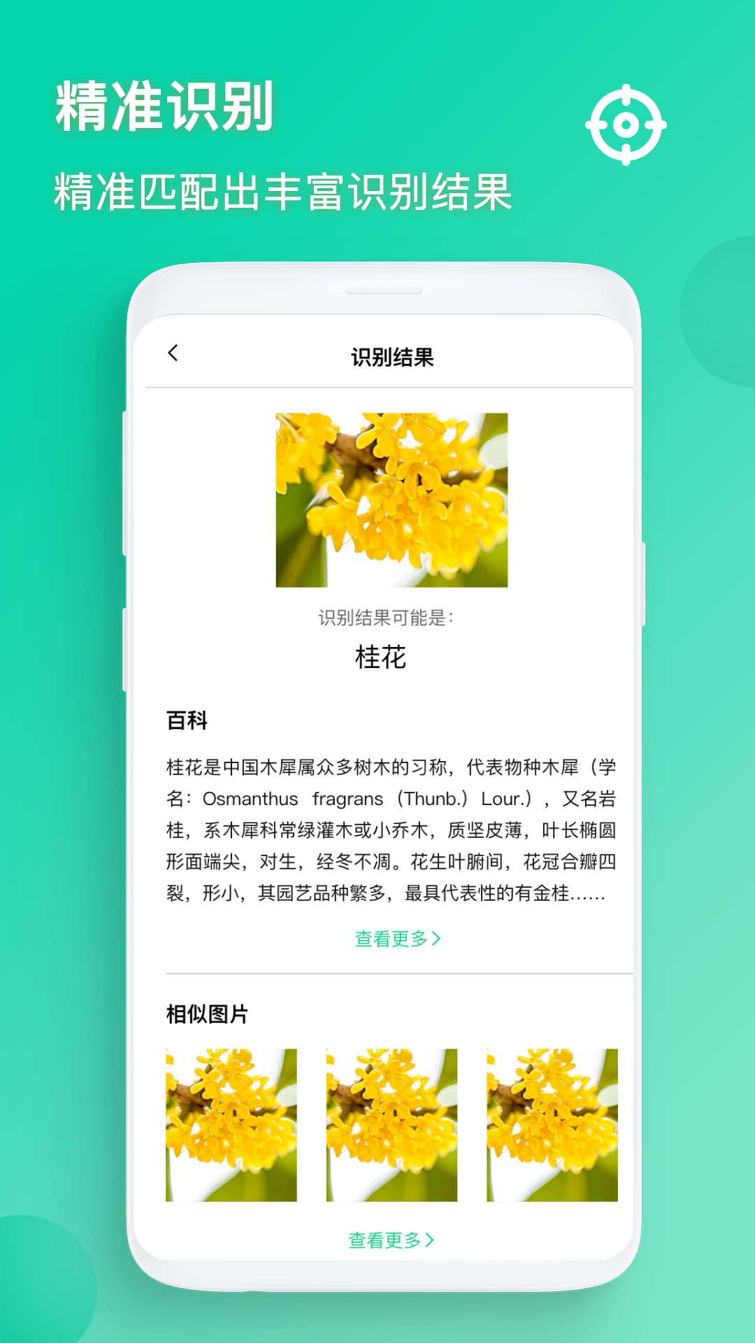 精彩截图-识图2025官方新版