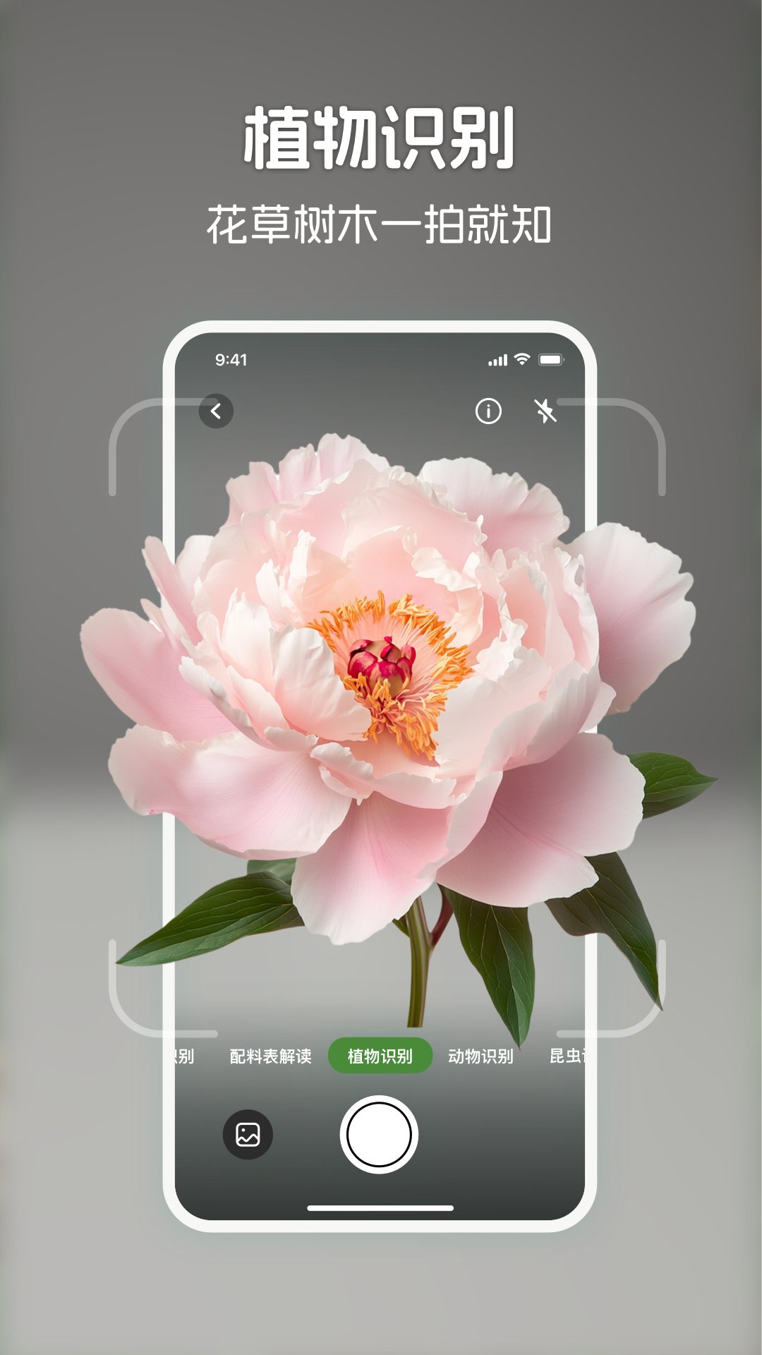 精彩截图-识花君2025官方新版