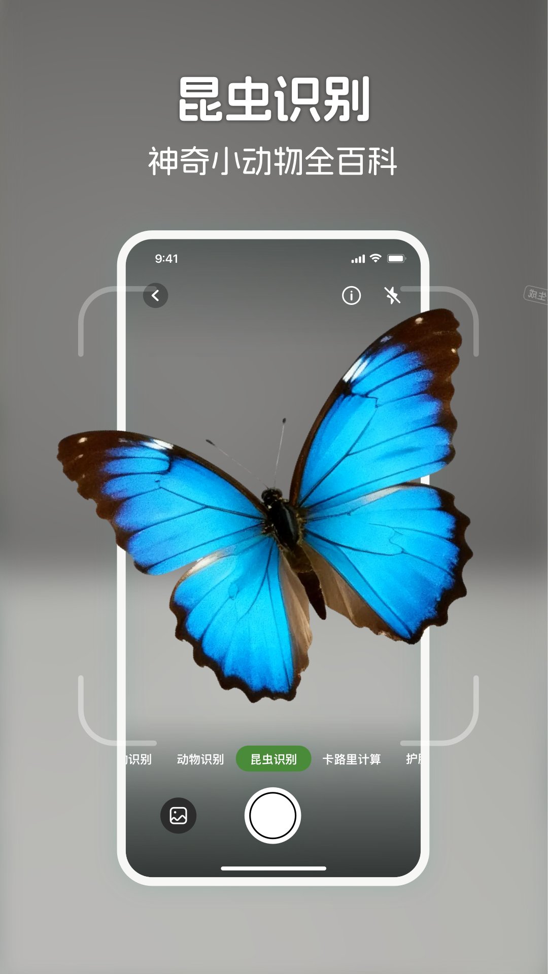 精彩截图-识花君2025官方新版