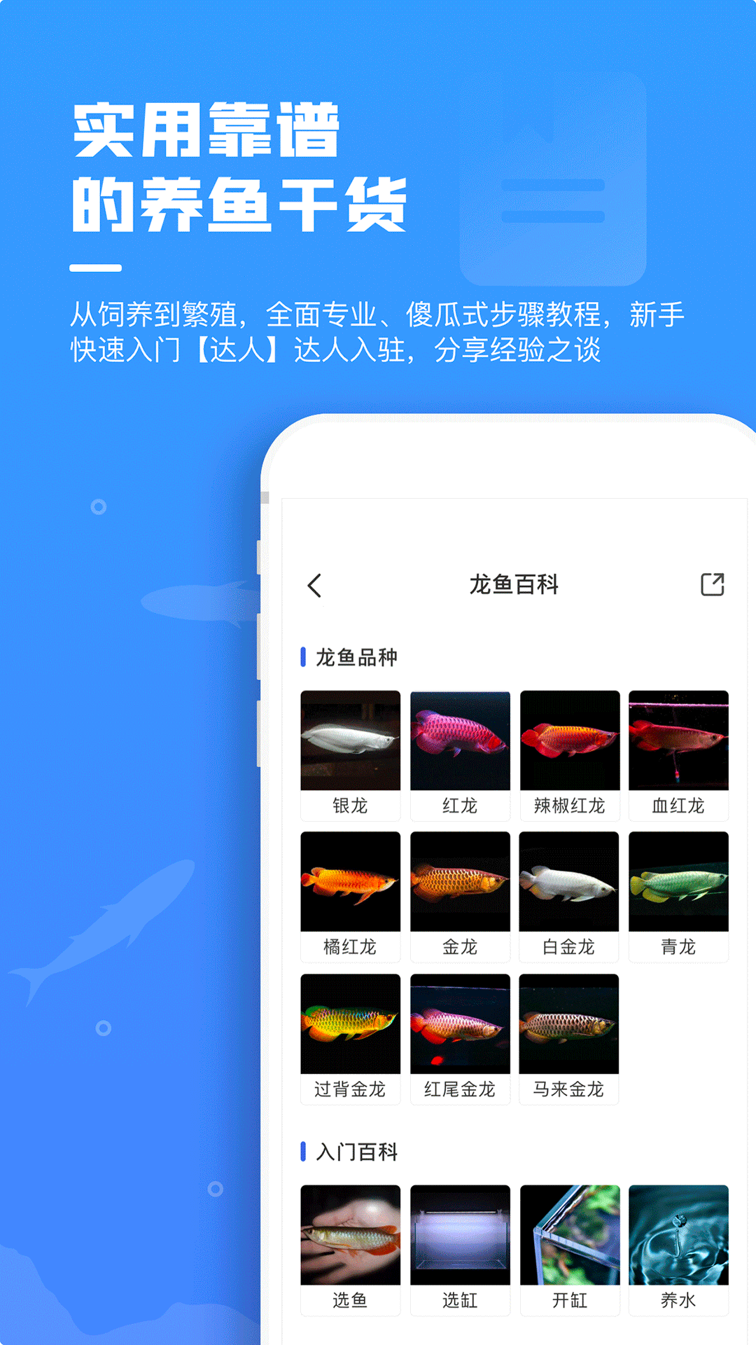 鲲天下安卓版高清截图