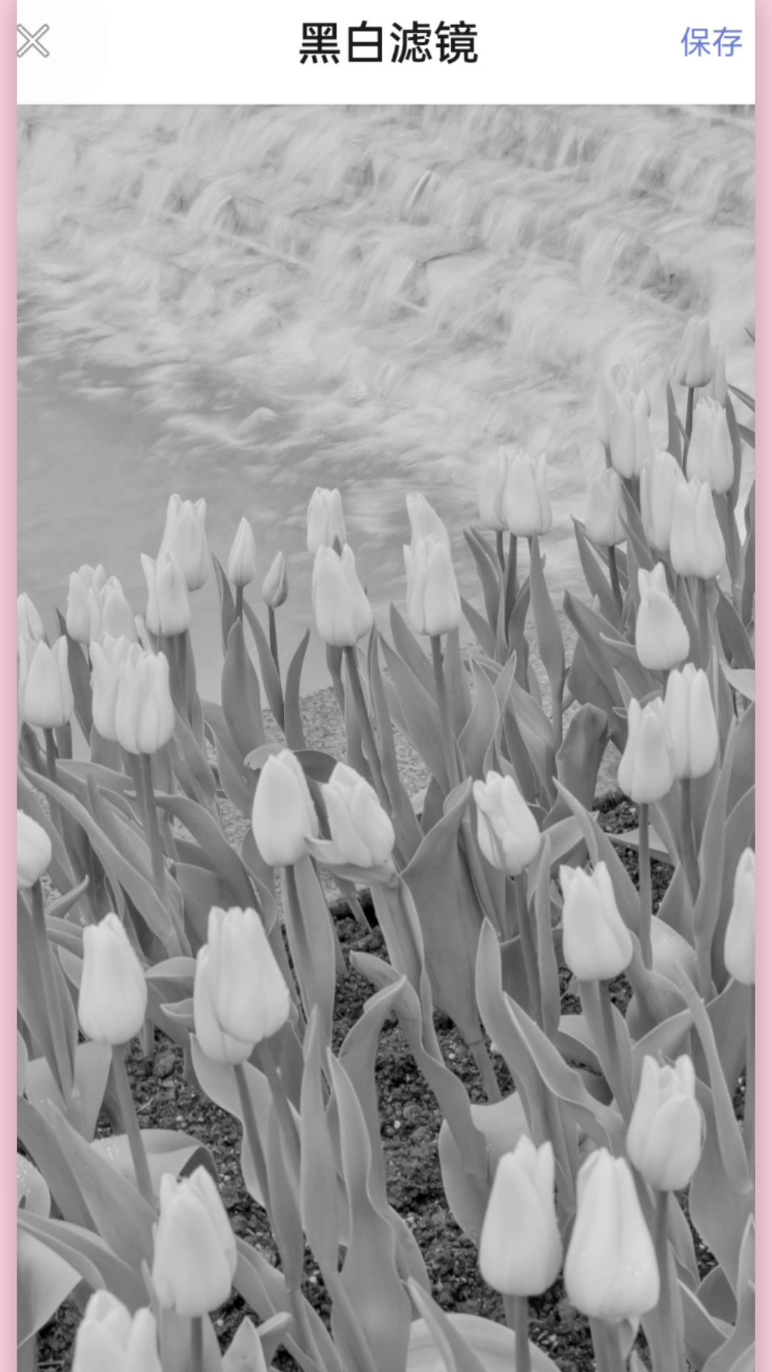 精彩截图-光影老照片恢复2026官方新版