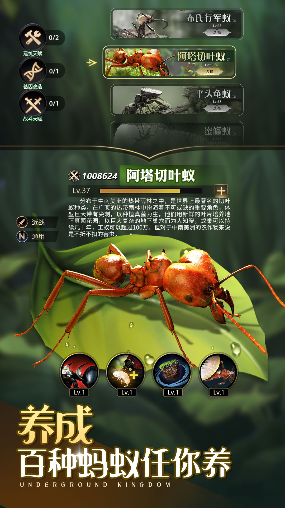 精彩截圖-小小蟻國：送648元金甲蟻2022官方新版