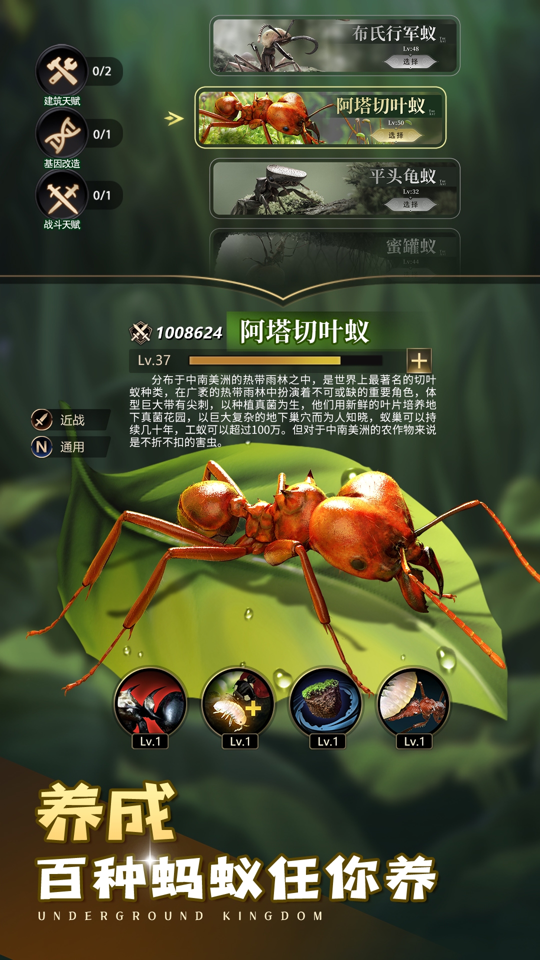精彩截图-小小蚁国2025官方新版