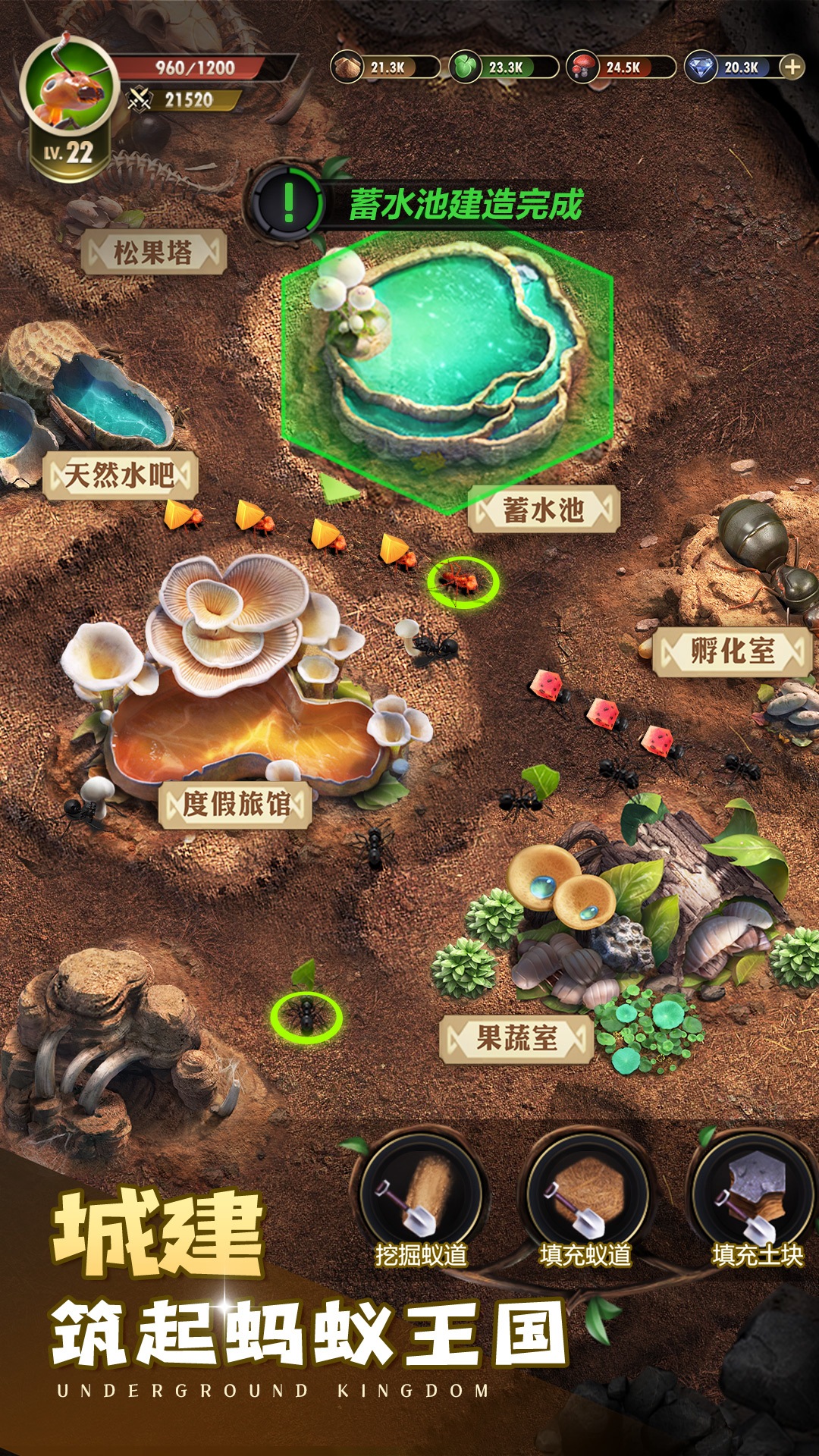 精彩截图-小小蚁国2025官方新版