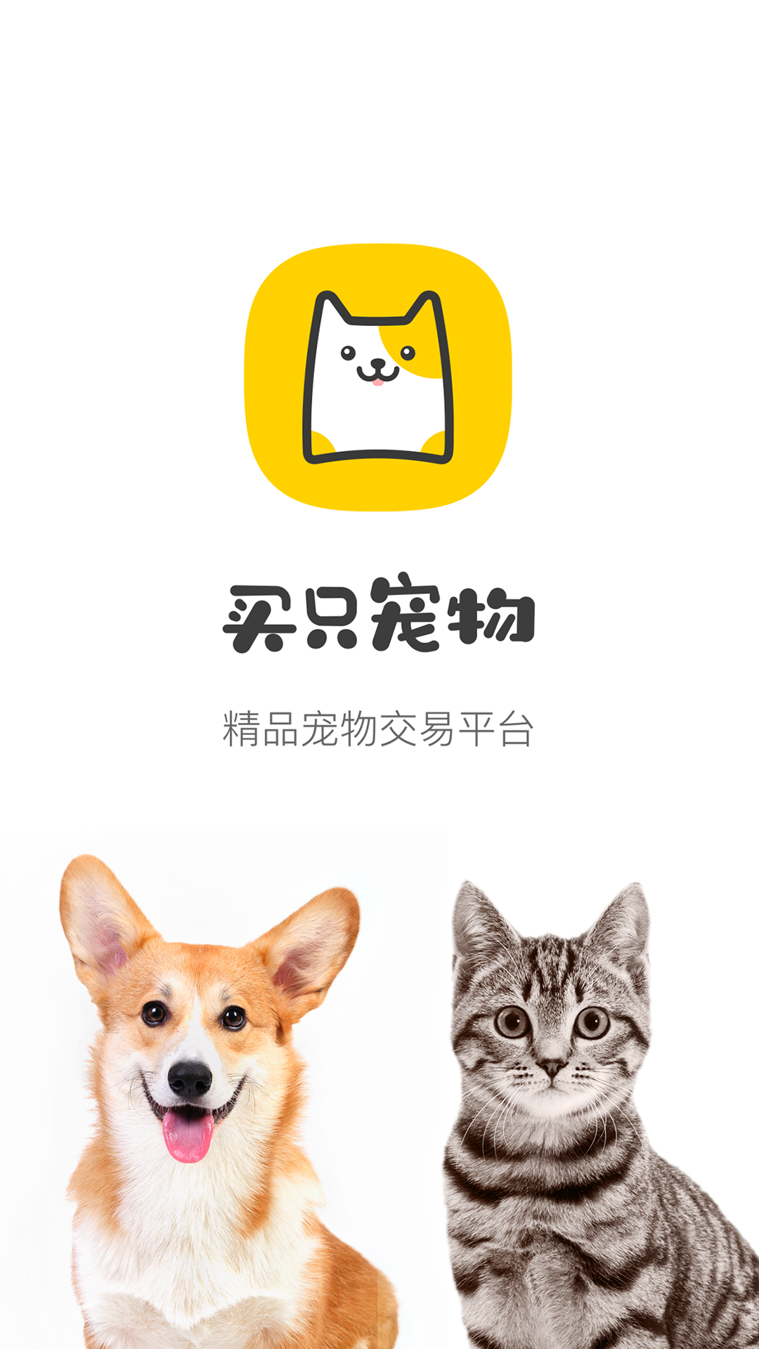 精彩截图-买只宠物2025官方新版