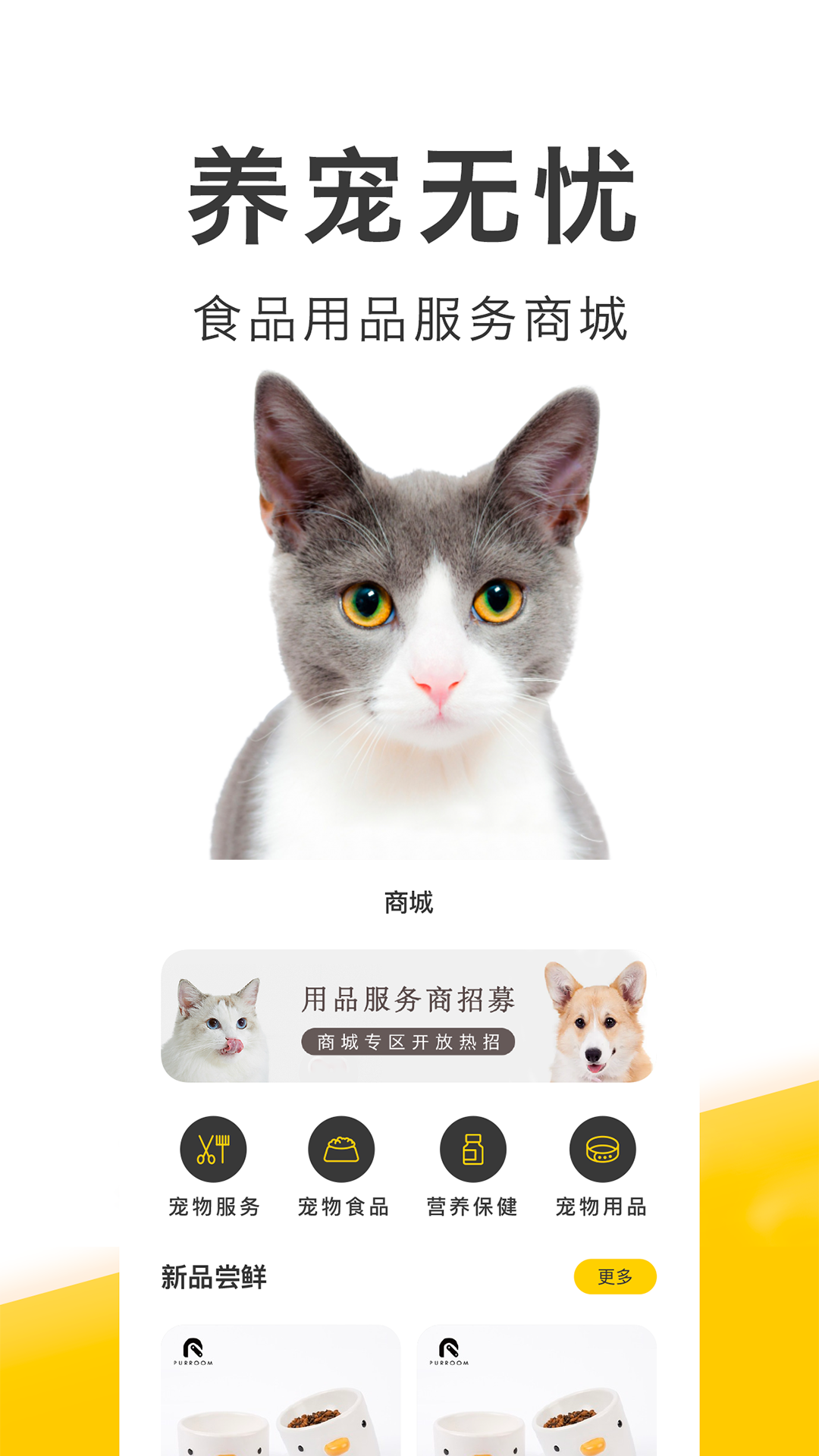 精彩截图-买只宠物2024官方新版
