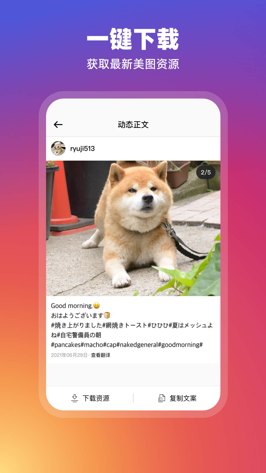 ins官方下载-insapp最新版本免费下载-应用宝官网