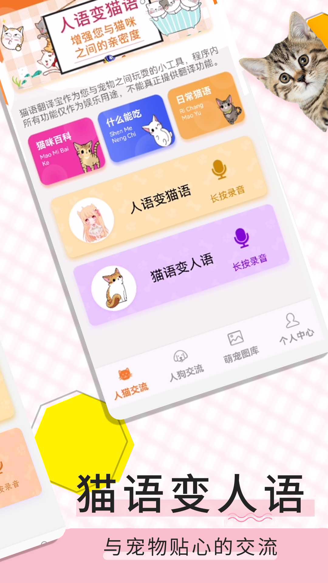 精彩截图-猫语翻译宝2026官方新版