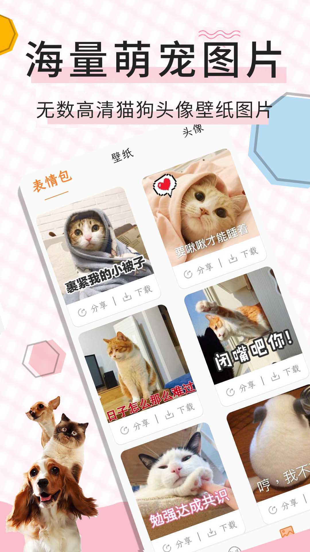 精彩截图-猫语翻译宝2026官方新版