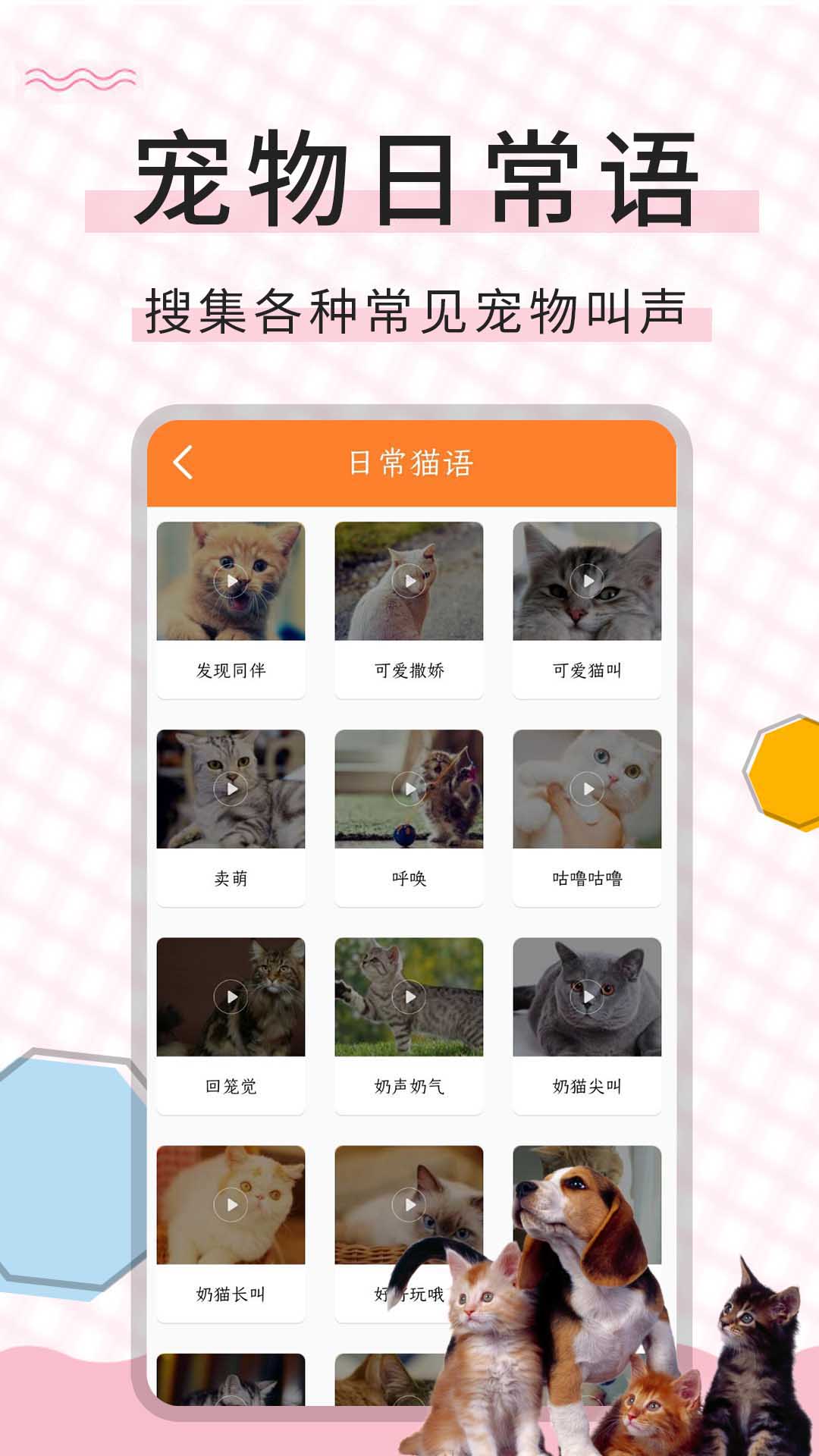 精彩截图-猫语翻译宝2026官方新版