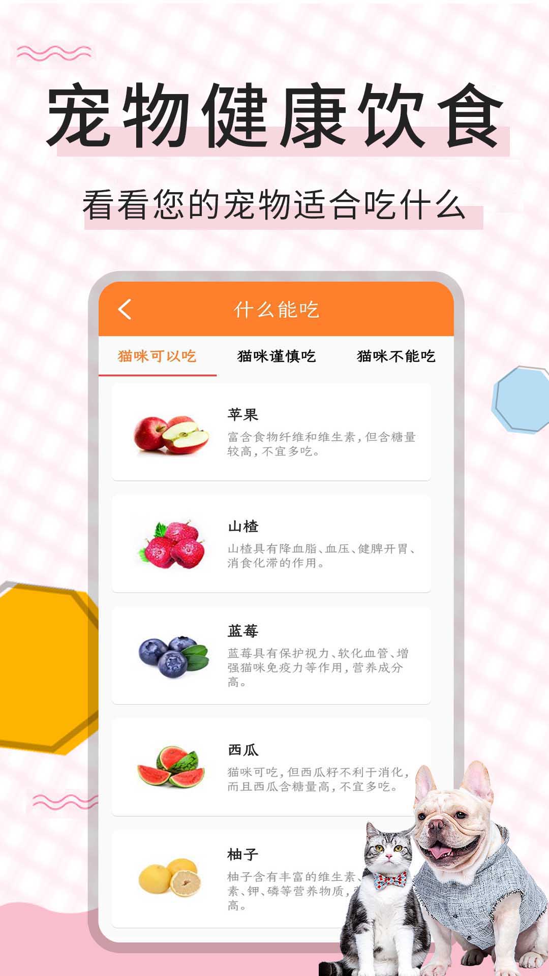 精彩截图-猫语翻译宝2026官方新版