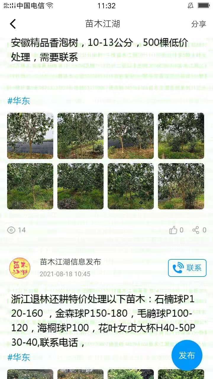 苗木江湖截图