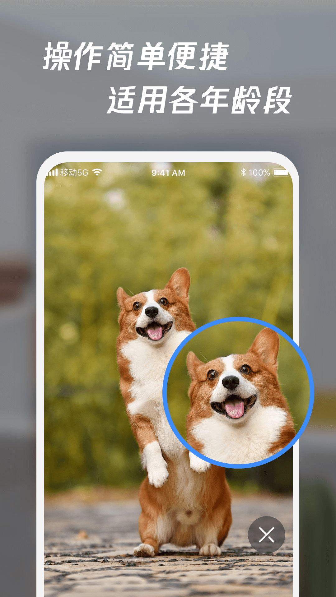 精彩截图-放大镜高清版2025官方新版