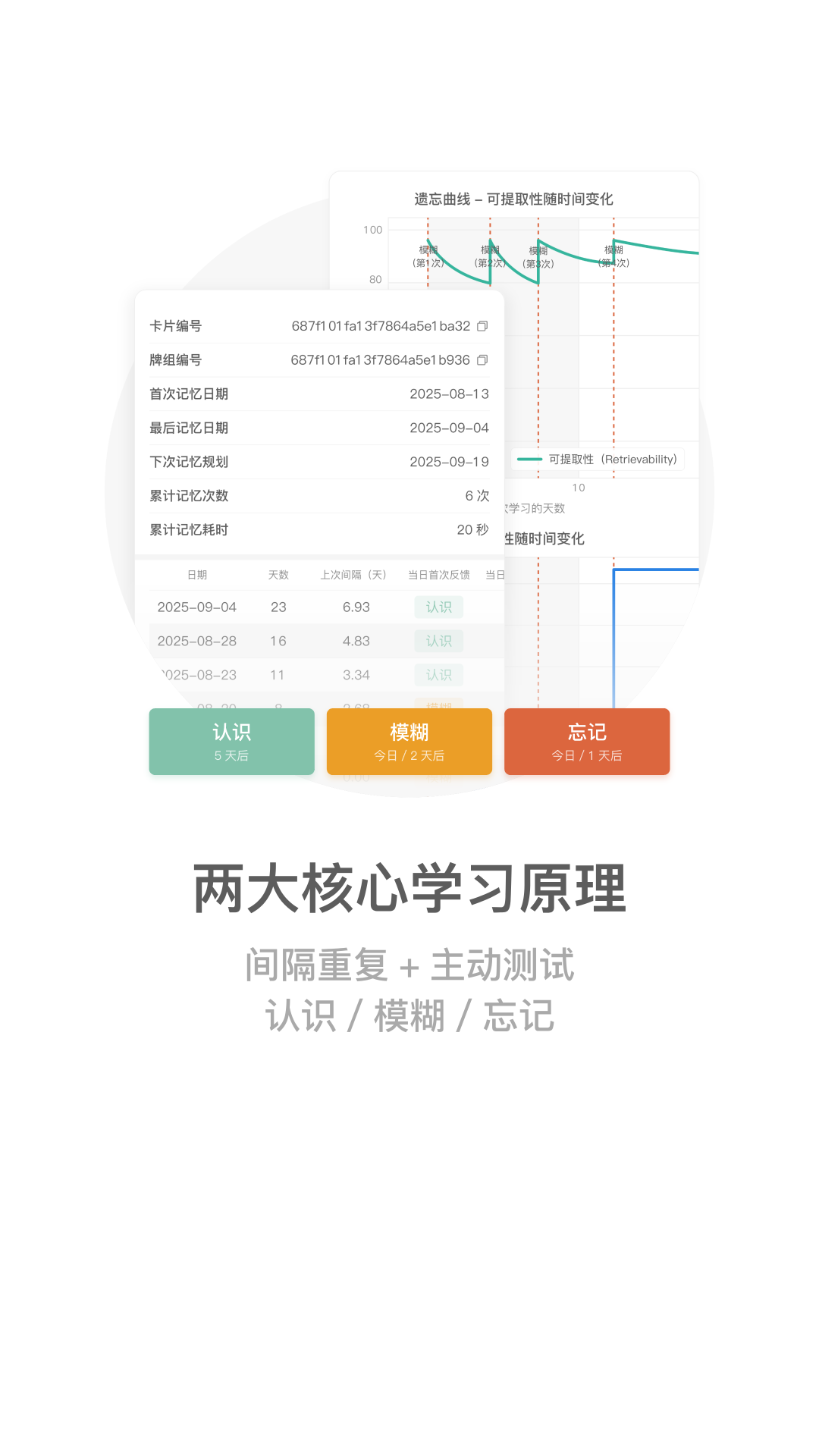 精彩截图-墨墨记忆卡2026官方新版