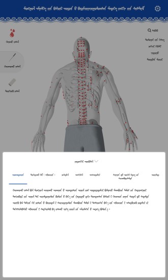 精彩截图-蒙医穴位标准化信息系统2024官方新版