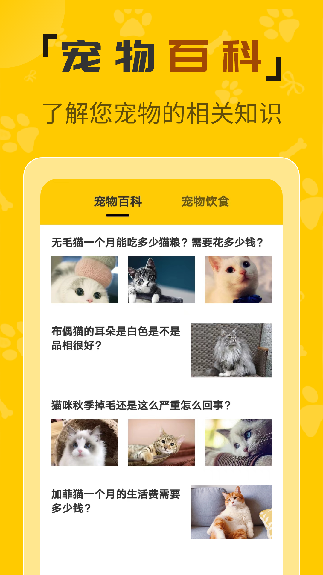  “数字喵语：人与猫之间的语言桥”