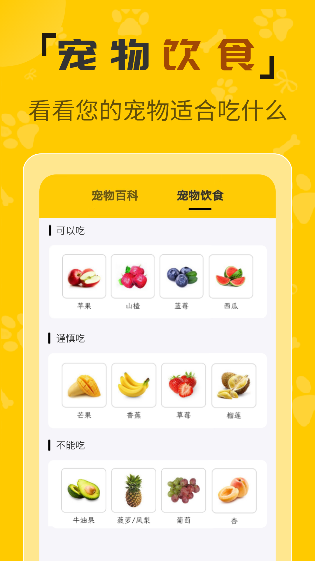  “喵喵翻译：解锁猫咪的秘密语言”