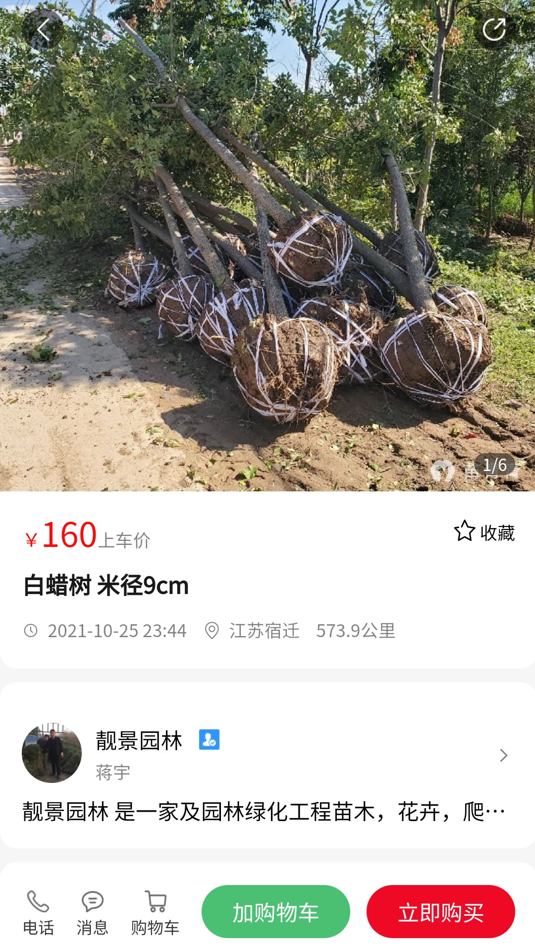 苗青青安卓版高清截图
