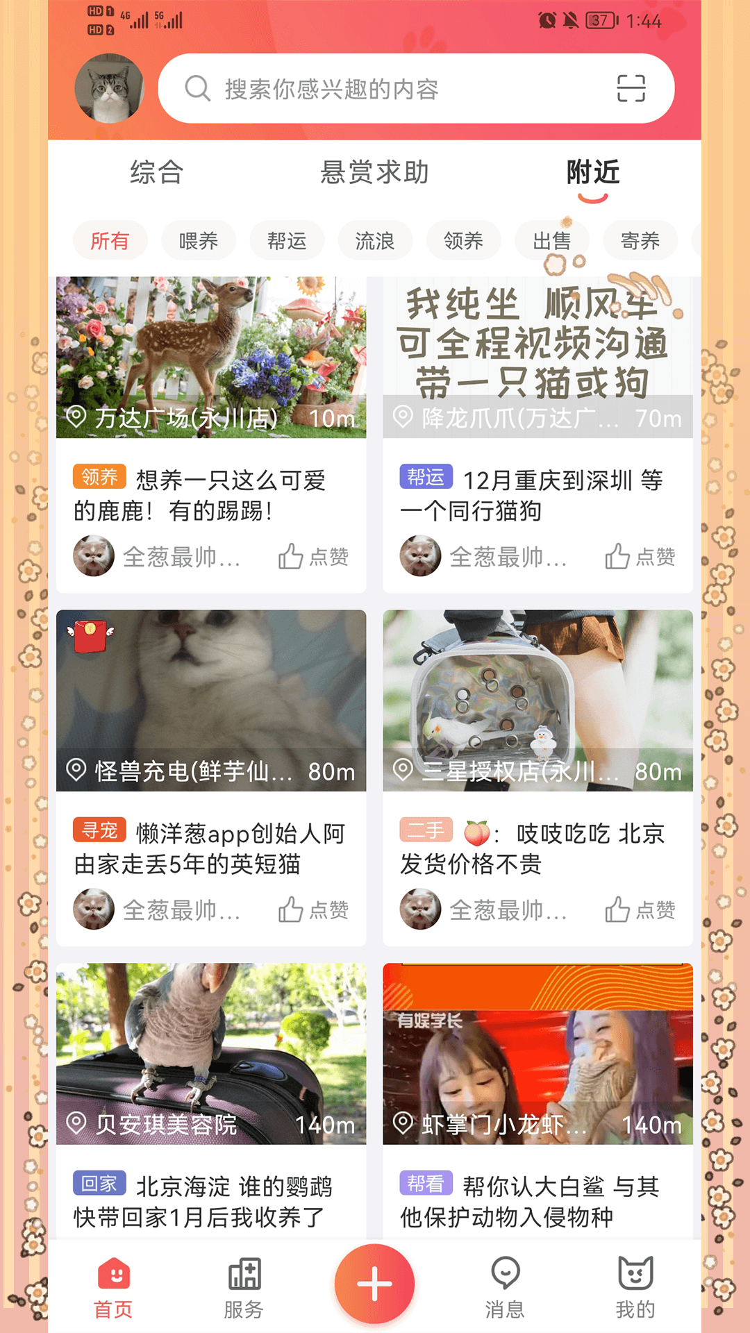 懒洋葱 截图 2